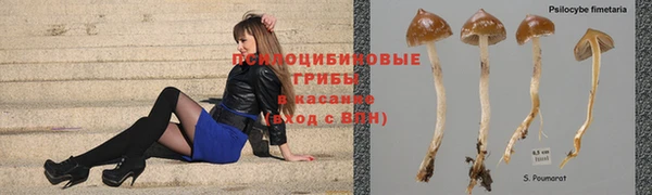 Альфа ПВП Зерноград