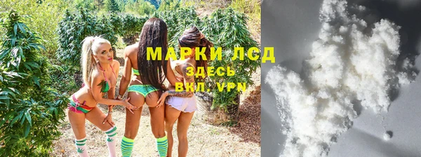 стафф Алексин