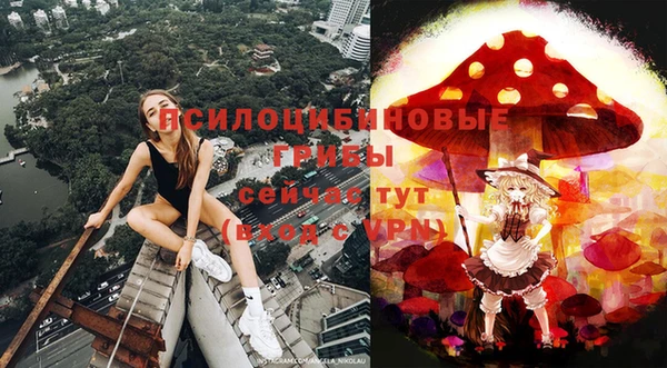 прущий лед Алексеевка