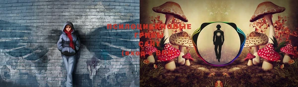 прущий лед Алексеевка