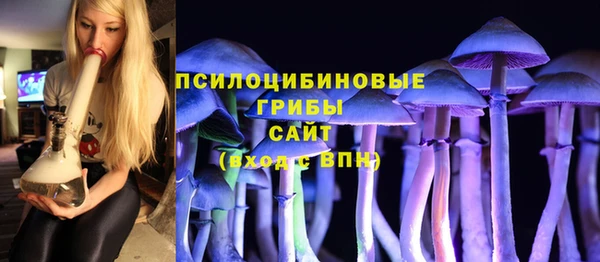 прущие грибы Алзамай