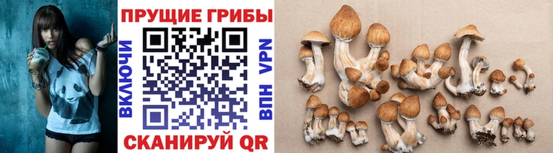 Галлюциногенные грибы GOLDEN TEACHER  Гдов 