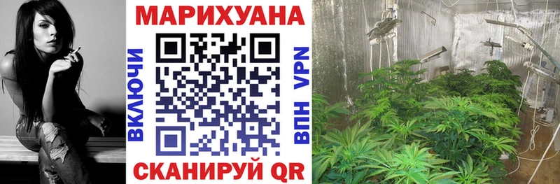 как найти закладки  Гдов  Каннабис план 